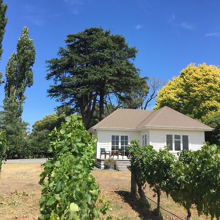 Tuki Vineyard Cottage Havelock North Ngoại thất bức ảnh
