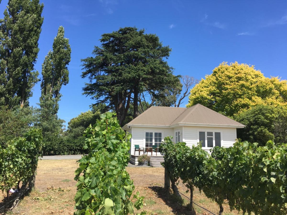 Tuki Vineyard Cottage Havelock North Ngoại thất bức ảnh